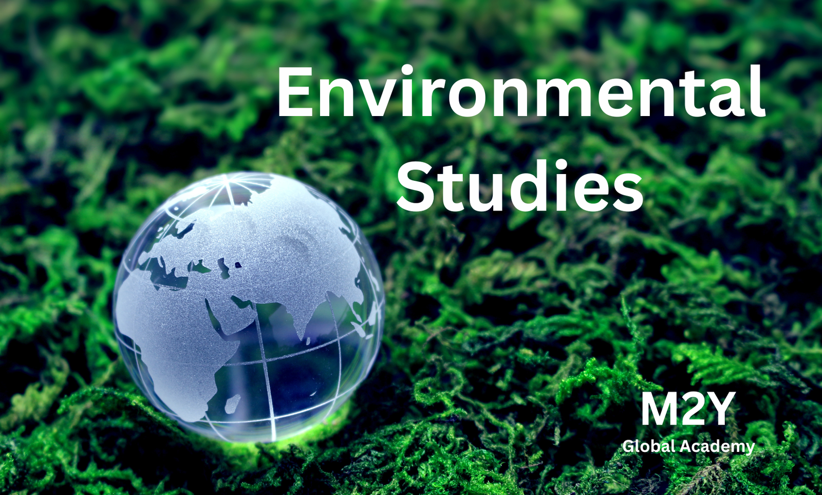 Importance of Environmental Studies